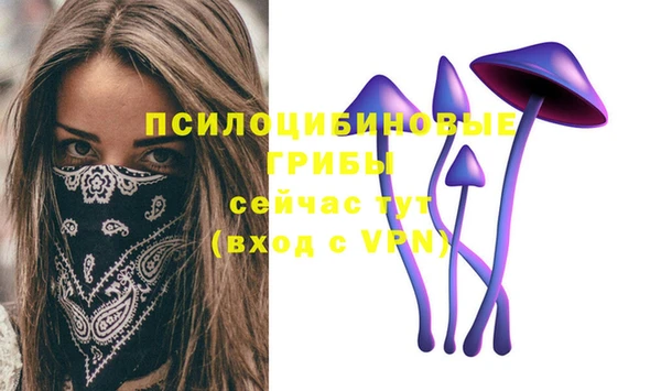 дурь Абаза