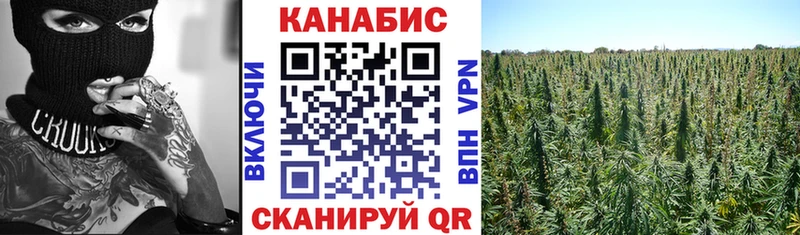 Шишки марихуана марихуана  Пудож 